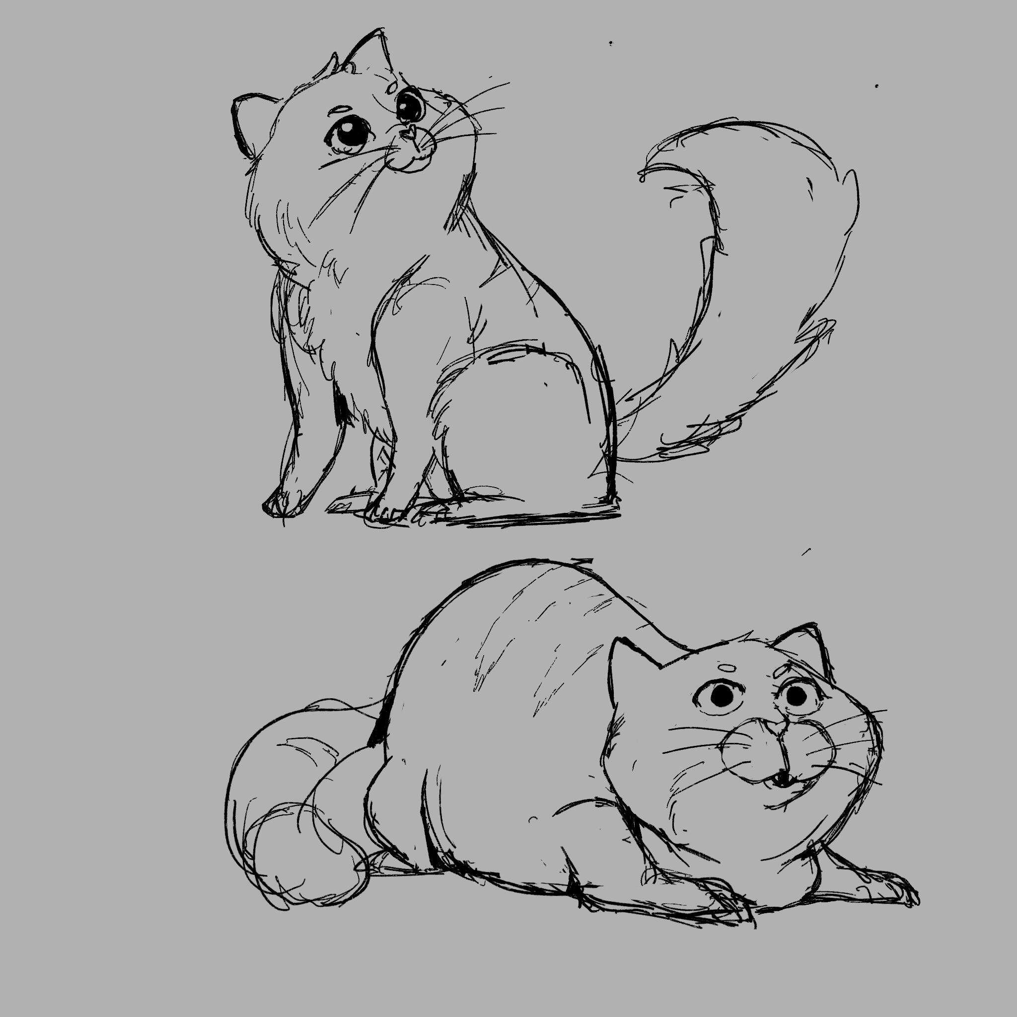 Cat_Sketches